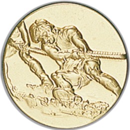 DISCO DORADO CUERDA Ø 2,5 CM