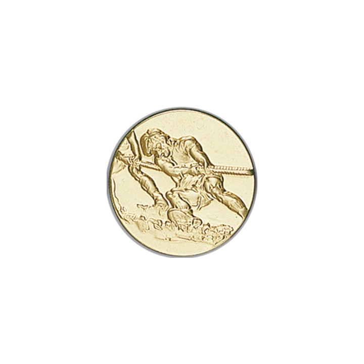 DISCO DORADO CUERDA Ø 2,5 CM