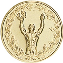 DISCO DORADO UNIVERSAL Ø 2,5 CM