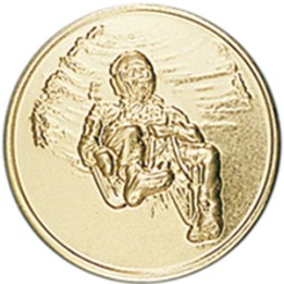 DISCO DORADO TRINEO Ø 2,5 CM