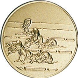 DISCO DORADO NATACION Ø 2,5 CM