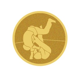 DISCO DORADO AUTOADHESIVA JUDO Ø 2,5 CM