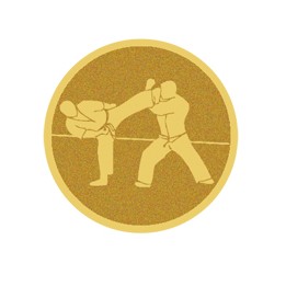 DISCO DORADO AUTOADHESIVA KARATE Ø 2,5 CM