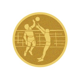 DISCO DORADO AUTOADHESIVA VOLEIBOL Ø 2,5 CM