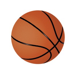 DISCO EPOXY BASQUET Ø 2,5 CM