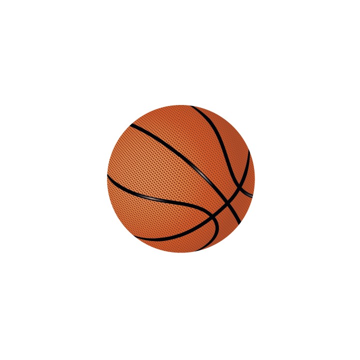 DISCO EPOXY BASQUET Ø 2,5 CM