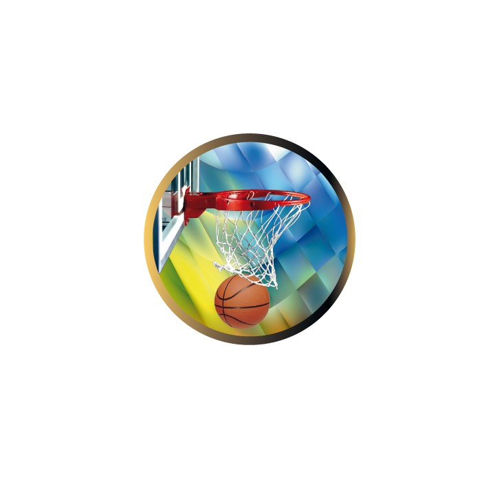 DISCO EPOXY BASQUET Ø 2,5 CM