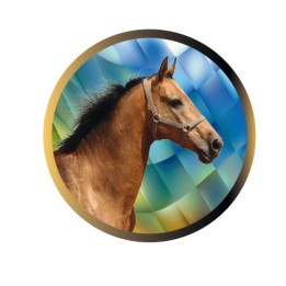 DISCO EPOXY CABALLO Ø 2,5 CM