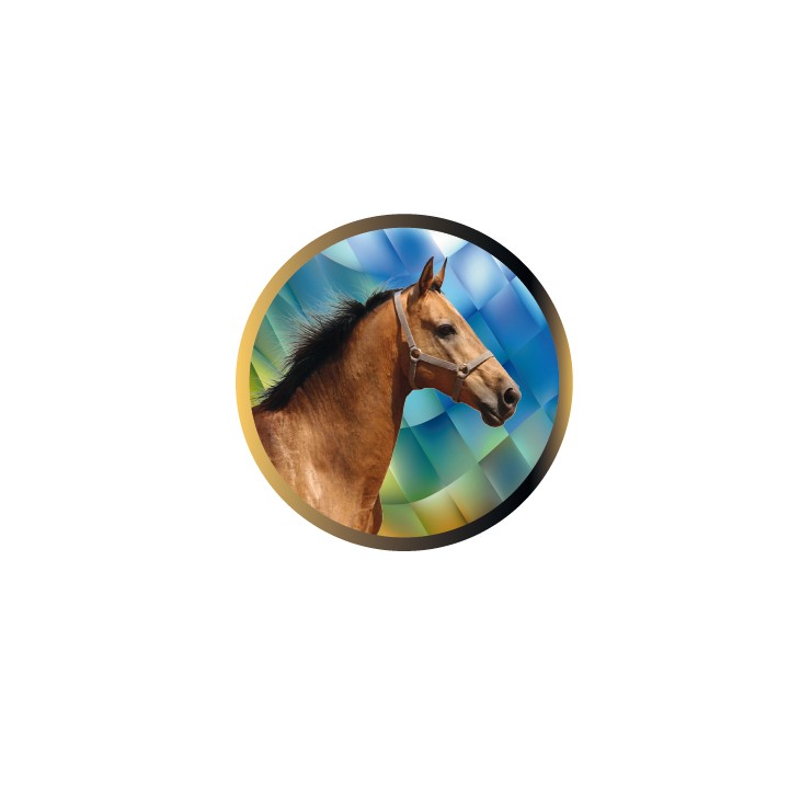 DISCO EPOXY CABALLO Ø 2,5 CM