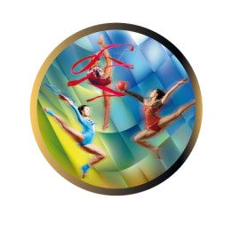 DISCO EPOXY GIMNASIA RITMICA Ø 2,5 CM