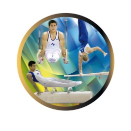 DISCO EPOXY GIMNASIA MASCULINA Ø 2,5 CM