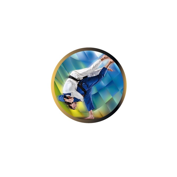 DISCO EPOXY JUDO Ø 2,5 CM