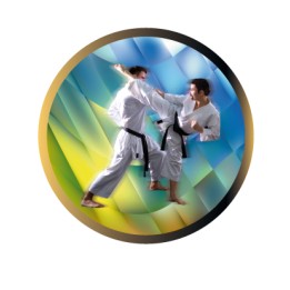 DISCO EPOXY KARATE Ø 2,5 CM