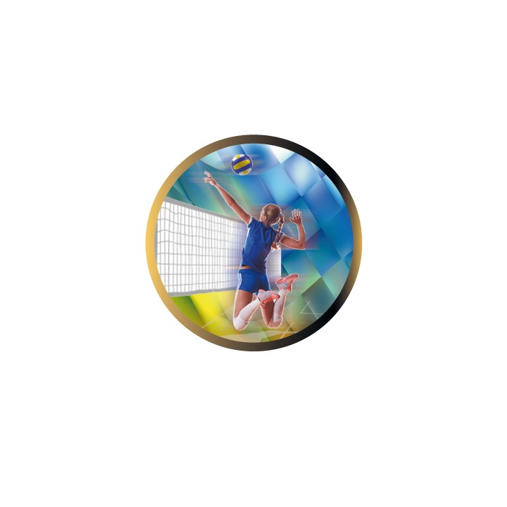 DISCO EPOXY VOLEYBOL FEMENINO Ø 2,5 CM