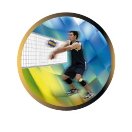 DISCO EPOXY VOLEYBOL MASCULINO Ø 2,5 CM