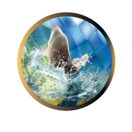 DISCO EPOXY PESCA Ø 2,5 CM