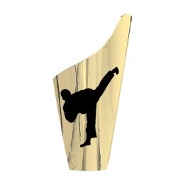  APLIQUE JUDO SERIE H