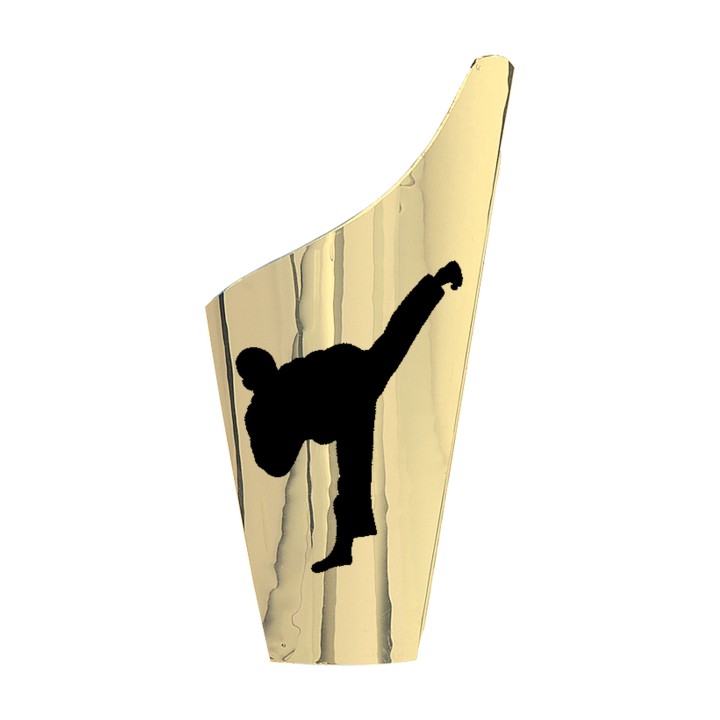  APLIQUE JUDO SERIE H