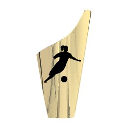  APLIQUE FUTBOL FEMENINO SERIE H