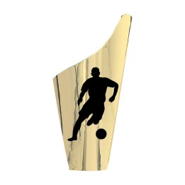  APLIQUE FUTBOL MASCULINO SERIE H