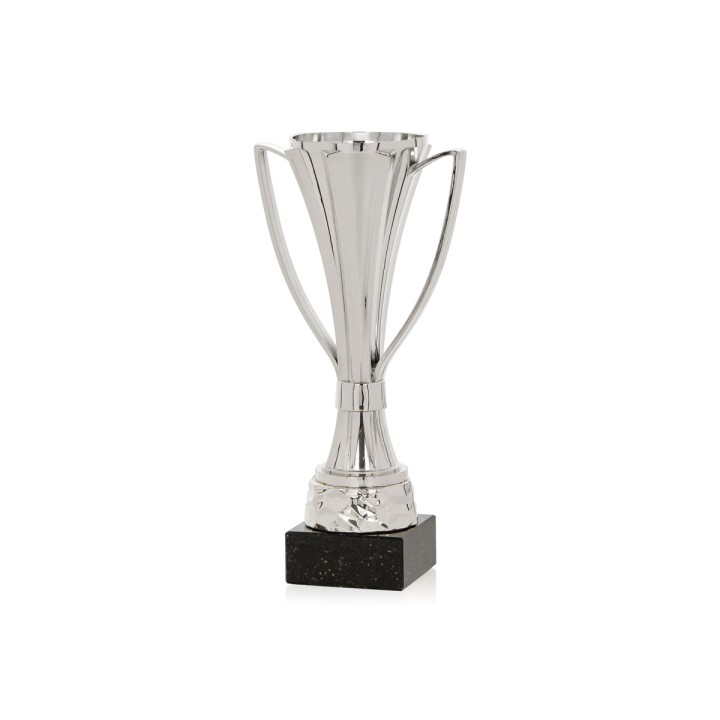 Copa ABS Plata (GP1-5)