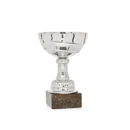 Copa Línea Promoción (GP1-5)