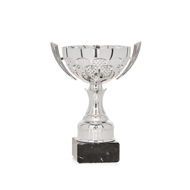 Copa Línea Promoción (GP1-5)