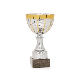 Copa Línea Promoción (GP1-5)
