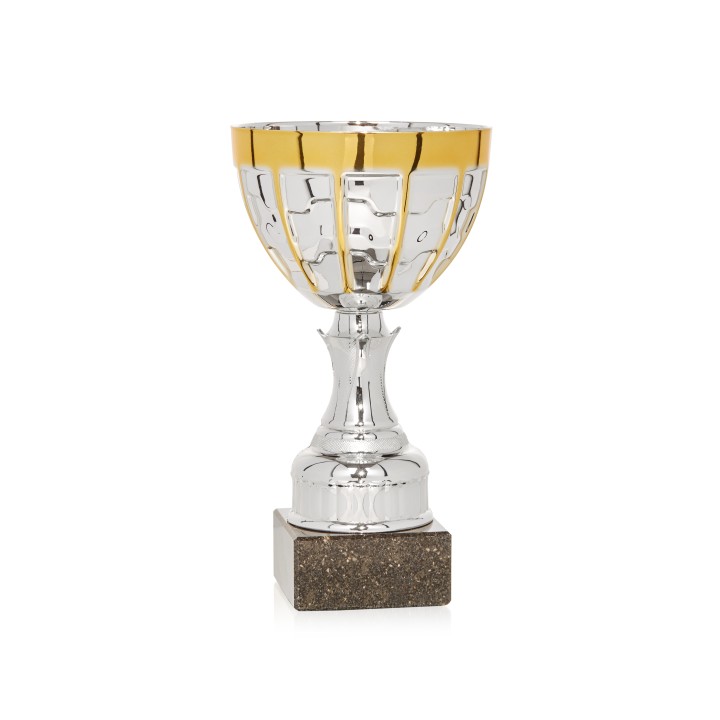 Copa Línea Promoción (GP1-5)