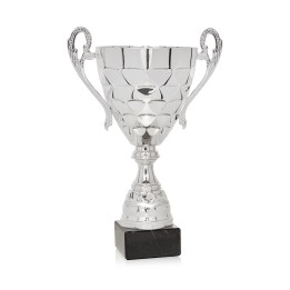 Copa Línea Promoción (GP1-5)