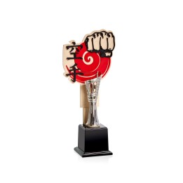 SERIE NTC 3D KARATE