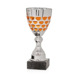 Copa oro (GP1-5)