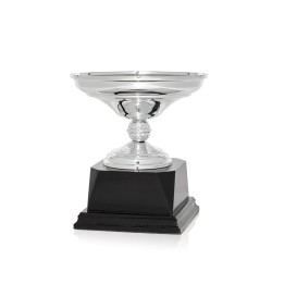Copa Clásica Plata (GP1-5)