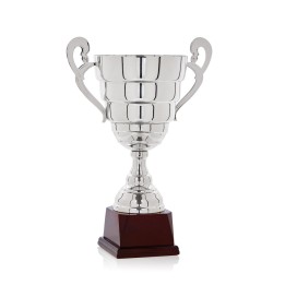 Copa Clásica Plata (GP1-5)