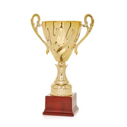 Copa Línea Prestige Oro (GP1-5)