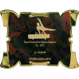 SOLO PLACA. 18 x 13 CM [M61, M12,M141,M82,M51-E46] (GPC2015+)