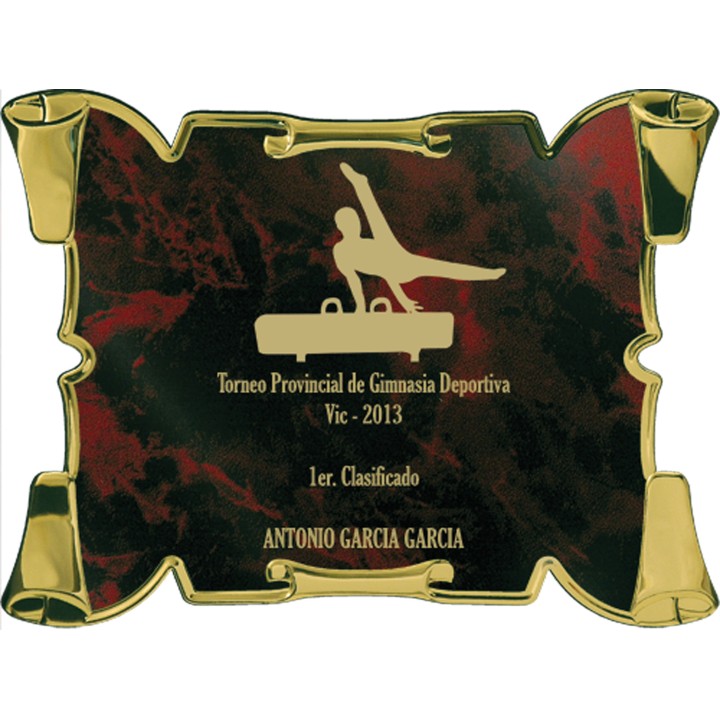 SOLO PLACA. 18 x 13 CM [M61, M12,M141,M82,M51-E46] (GPC2015+)