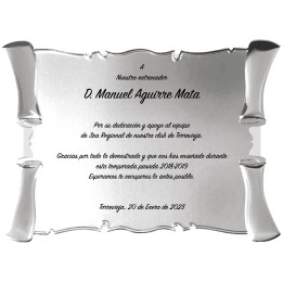 SOLO PLACA. 18 x 13 CM [M61, M12,M141,M82,M51-E46] (GPC2015+)