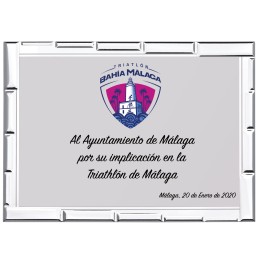 SOLO PLACA. 12 x 9  CM [M60,M11,M50-E44] (GPC2015-)