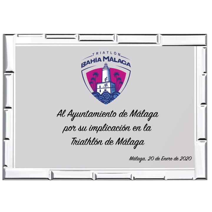 SOLO PLACA. 12 x 9  CM [M60,M11,M50-E44] (GPC2015-)