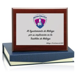 PLACA, MADERA Y ESTUCHE 11 X 7 CM PLATA (GPC2015-)