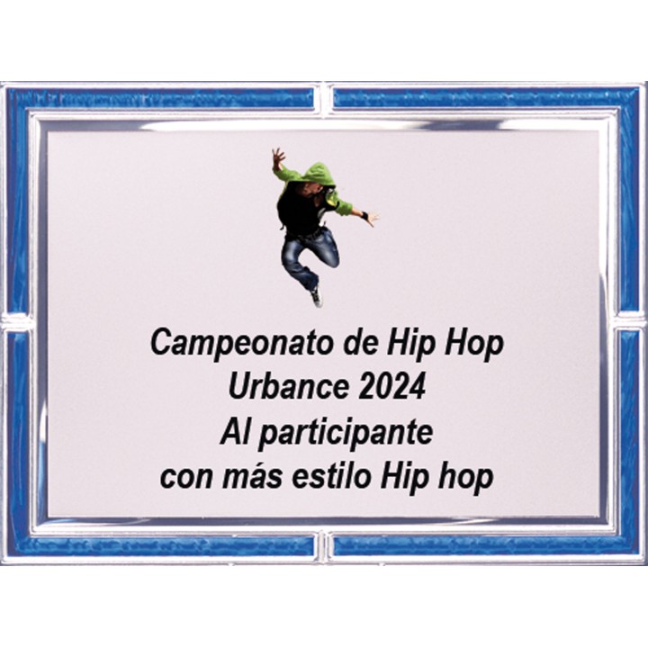 SOLO PLACA. 18 x 13 CM [M61, M12,M141,M82,M51-E46] (GPC2015+)