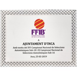 SOLO PLACA. 18 x 13 CM [M61, M12,M141,M82,M51-E46] (GPC2015+)