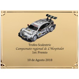 SOLO PLACA. 18 x 13 CM [M61, M12,M141,M82,M51-E46] (GPC2015+)