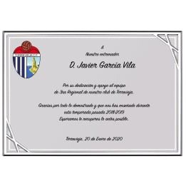 SOLO PLACA. 18 x 13 CM [M61, M12,M141,M82,M51-E46] (GPC2015+)