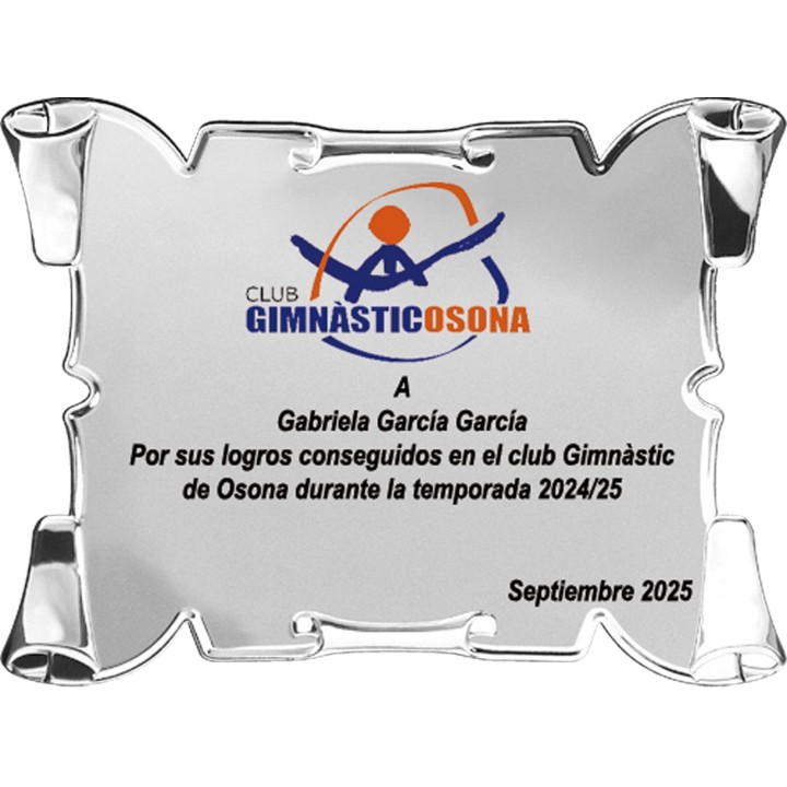 SOLO PLACA. 18 x 13 CM [M61, M12,M141,M82,M51-E46] (GPC2015+)