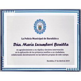 SOLO PLACA. 18 x 13 CM [M61, M12,M141,M82,M51-E46] (GPC2015+)