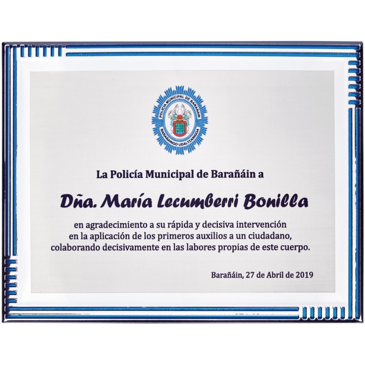 SOLO PLACA. 18 x 13 CM [M61, M12,M141,M82,M51-E46] (GPC2015+)