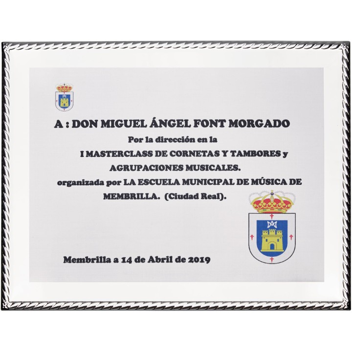 SOLO PLACA. 18 x 13 CM [M61, M12,M141,M82,M51-E46] (GPC2015+)