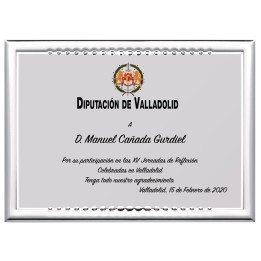 SOLO PLACA. 18 x 13 CM [M61, M12,M141,M82,M51-E46] (GPC2015+)
